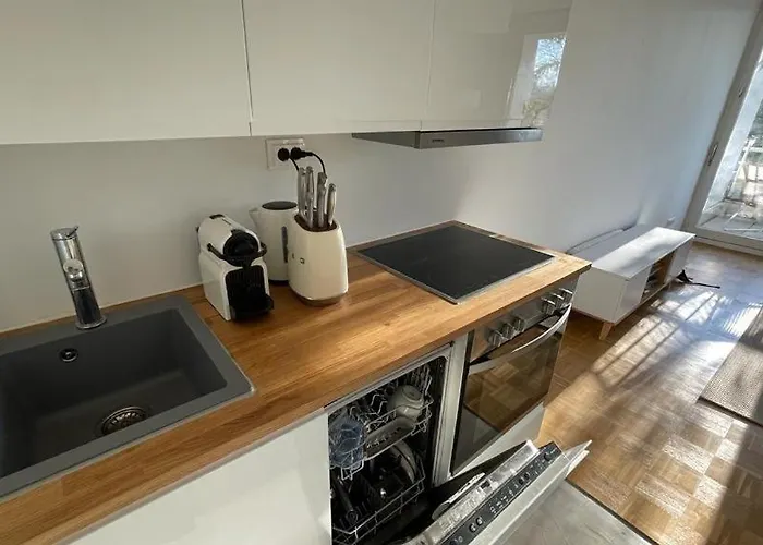 公寓 Modern Live And Work Convenient To Munich Messe 哈尔